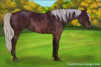 Horse Color:Silver Bay Ice 