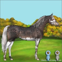 Horse Color:Silver Black Chinchilla Splash 