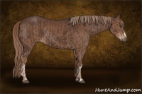 Horse Color:Liver Chestnut  and Liver Chestnut 