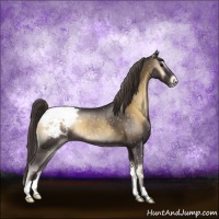Horse Color:Smoky Blue Onyx Appaloosa Rabicano
