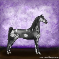 Horse Color:Black Ice Snowflake VarnishRabicano 