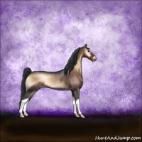Horse Color:Brown Onyx Rabicano