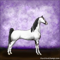 Horse Color:Blue Onyx Sabino Near Fewspot 