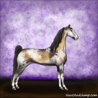 Horse Color:Smoky Blue Onyx Ice Sabino Appaloosa Rabicano 