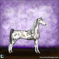 Horse Color:Blue Onyx Sabino Appaloosa