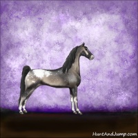 Horse Color:Blue Onyx Sabino Snowcap 