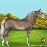 Horse Color:Liver Chestnut Mushroom Varnish 
