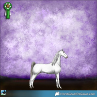 Horse Color:Black Sabino Blanket Rabicano 