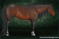 Horse Color:Brown Sabino