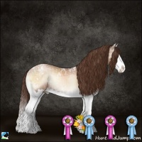 Horse Color:Brown Ice Pearl Onyx Splash