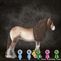 Horse Color:Blue Onyx Pearl Sabino Rabicano 