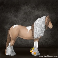 Horse Color:Black Pearl Sabino Tobiano