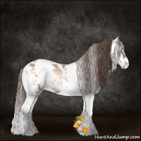 Horse Color:Blue Onyx Pearl Sabino