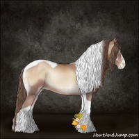 Horse Color:Blue Onyx Pearl Sabino Tobiano