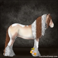 Horse Color:Bay Pearl Onyx Sabino Tobiano 