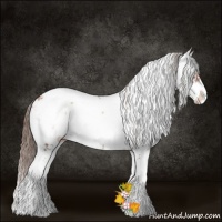 Horse Color:Blue Onyx Pearl Sabino