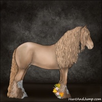 Horse Color:Liver Chestnut Pearl Sabino