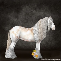 Horse Color:Red Onyx Pearl Sabino Rabicano 