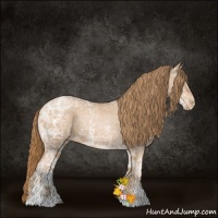 Horse Color:Chestnut Ice Pearl Sabino