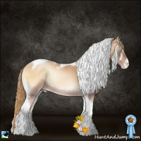 Horse Color:Red Onyx Pearl Sabino Tobiano Rabicano