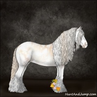 Horse Color:Gold Champagne Pearl Onyx Sabino Rabicano 