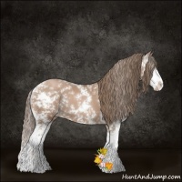 Horse Color:Black Pearl Sabino 