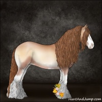 Horse Color:Bay Pearl Onyx Sabino 