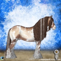 Horse Color:White Spotted Brown Pearl Onyx Sabino