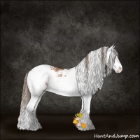 Horse Color:Brown Pearl Sabino Splash 