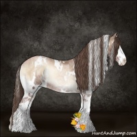 Horse Color:White Spotted Blue Onyx Ice Pearl Sabino Rabicano 