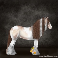 Horse Color:Brown Ice Pearl Onyx Sabino Tobiano