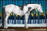 Horse Color:Gray White Spotted Black  and Gray White Spotted Black 