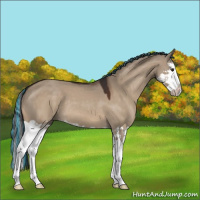 Horse Color:Painted Brown Dun Splash 