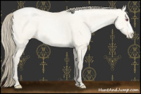 Horse Color:Smoky Grullo Chinchilla Pearl