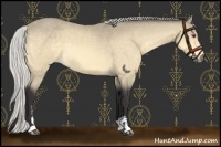 Horse Color:Silver Buckskin Chinchilla Sabino 