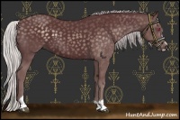 Horse Color:Chocolate Silver Smoky Black Chinchilla Sabino 