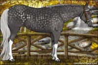 Horse Color:Silver Smoky Black Chinchilla 