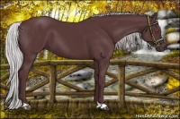 Horse Color:Chocolate Silver Black Chinchilla 