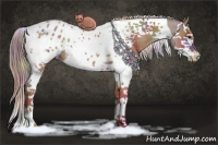 Horse Color:Nacre Classic Champagne Splash Tobiano Blanket Rabicano 