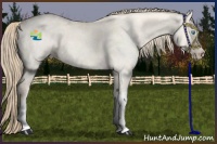 Horse Color:Smoky Creme Roan Dun 
