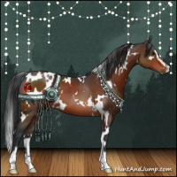 Horse Color:White Spotted Brown Sabino