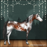 Horse Color:White Spotted Brown 