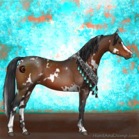 Horse Color:White Spotted Brown Sabino 