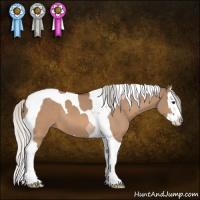 Horse Color:Silver Bay Dun Tobiano 