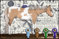 Horse Color:Silver Bay Dun Tobiano Frame 