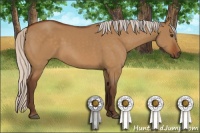 Horse Color:Silver Buckskin Dun 