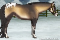 Horse Color:Smoky Blue Onyx Varnish 