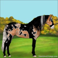 Horse Color:White Spotted Silver Bay Splash Tobiano