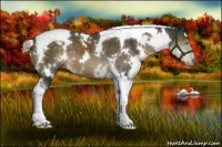 Horse Color:White Spotted Chocolate Palomino Tobiano 