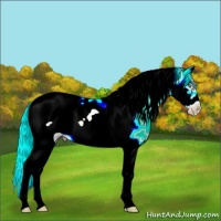 Horse Color:Silver Classic Cream Champagne Dun Splash Tobiano Frame 